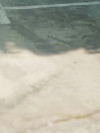 [مدبلج]المستذئب المشرد الذي أصبح رفيقي - Episode 33