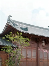 Épisode 62 - Reine de Vengeance