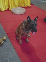 [พากย์ไทย]มังกรพิทักษ์ตามหารัก - Episode 43