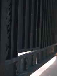 第6話 - 燃ゆる薔薇