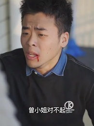 第47集 - 上門傻婿