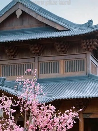 Épisode 52 - Reine de Vengeance