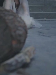 ตอนที่ 53 - [พากย์ไทย]มังกรพิทักษ์ตามหารัก