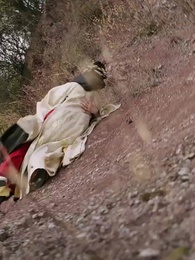 [Lồng tiếng]Mộng Cành Vàng - Episode 48