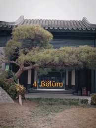 Bölüm 4 - Ustan Burada!