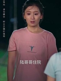女婿駕到，通通閃開 - Episode 20