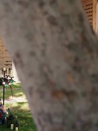 [مدبلج]المستذئب المشرد الذي أصبح رفيقي - Episode 3