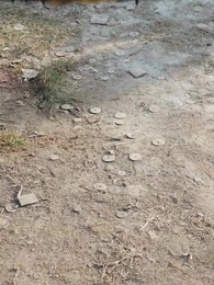 撥開雲霧見月明 - Episode 19