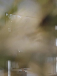 Amor Moderno da General - Episode 52