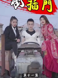 第11集 - 倒插門