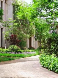 第24集 - 幽幽我心