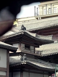 Episodio 6 - [Doblado]Una noche, dos hijos, seis años