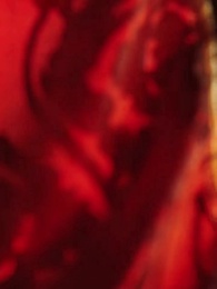 Episódio 20 - O amor Que Eu Perdi