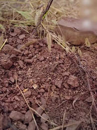 50세, 새로운 시작 - Episode 1