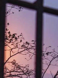 Episodio 27 - Reencarno para Desenmascarar a la Rival