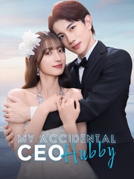 My Accidental CEO Hubby