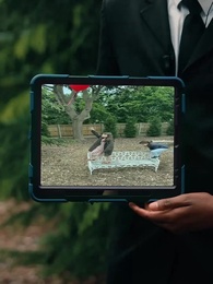 Слишком поздно сожалеть, бывший муж - Episode 43