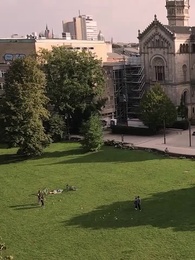 Серия 12 - Запретное желание. Любовь Альфы