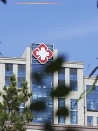 第2集 - 歸心似箭