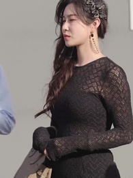 第34集 - 總裁回鄉記