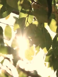 Серия 62 - Запретное желание. Любовь Альфы