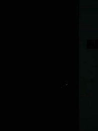 Серия 3 - Восхождение преданной принцессы