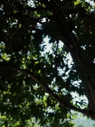 МОЯ МАМА-ДИРЕКТОР И ПАПА-КУНГ-ФУ - Episode 60