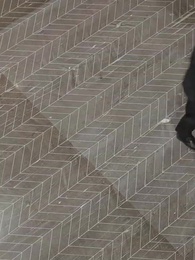 Серия 47 - Я - Даосский Маг