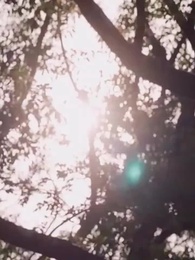 Серия 73 - Предвестие Судьбы