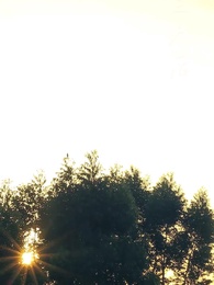 第50集 - 總裁回鄉記