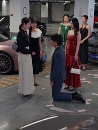 Серия 22 - Борьба за парковку