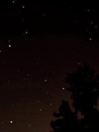 Серия 49 - Запретное желание. Любовь Альфы