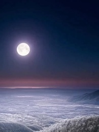 Episode 38 - The Guard Who Tutored a Champion