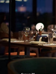 Серия 25 - Невеста-двойник