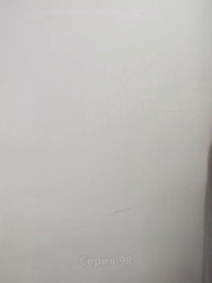 Серия 98 - Мисс Уборщица гендиректор