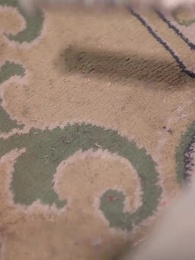 Geboren als kleiner Drache: Der Kaiser hört ihre Gedanken! - Episode 6