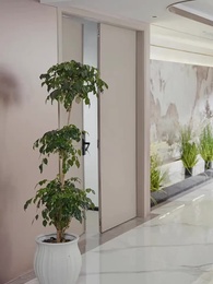 Episode 27 - Salah Menikah ke Macan Betina!