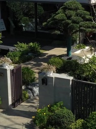 Episode 25 - My Tough Wife