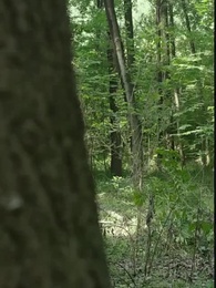 Bölüm 67 - [Dublajlı]Ölümsüz Yolcusu