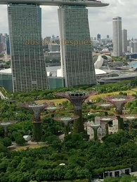 Episodio 4 - El Precio de la Traición