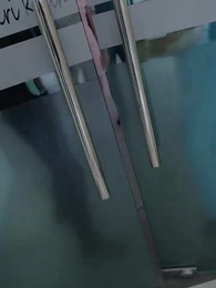 Episode 49 - When the Caged Bird Returns