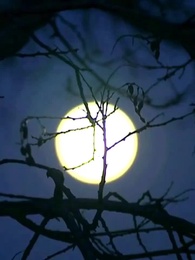 Episode 34 - Wenn der Frühling uns findet