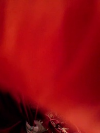 Episode 19 - A Kingdom's Price