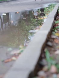 Tập 39 - Hành Trình Tái Sinh