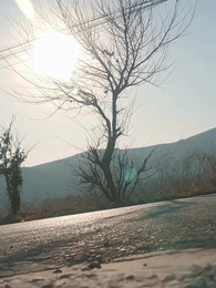 Juramento de Venganza - Episode 33