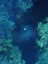 第1話 - 転生帝王：家族よ、跪け