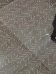 Matheus Silveira: O Bastardo que Calou o Reino - Episode 47