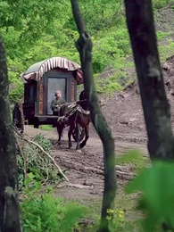 Цветы судьбы у трона - Episode 53