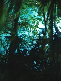 백 년의 사랑 - Episode 1