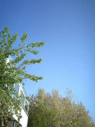 回到80年代悔悟爹地帶我飛 - Episode 44